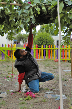 child building a hut in the playground