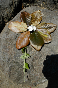  sculpture of a flower