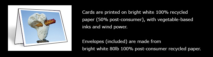 image of folded card resting on table, with the words: Cards are printed on bright white 100% recycled paper (50% post-consumer), with vegetable-based inks and 100% wind power. Envelopes (included) are made from bright white 80lb 100% post-consumer recycled paper.